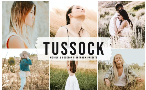 [Elements.Envato] Tussock Mobile & Desktop Lightro_0.png